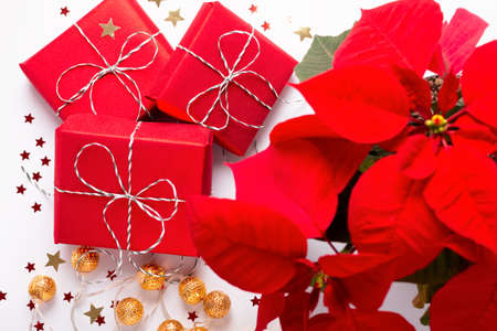 Festive Christmas card with red poinsettia flower, wrapped gifts and confettiの写真素材