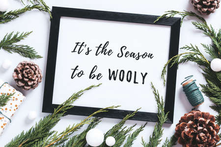 Winter season quote in frame with cedar branches, pine cones around, top view, flat layの写真素材