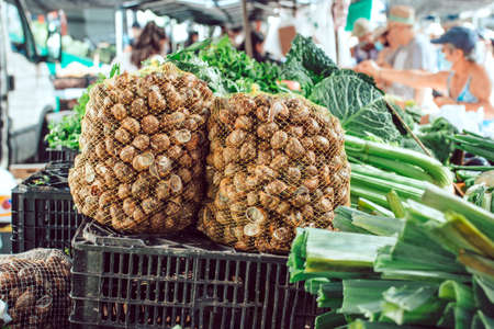 Snails for sale at farmers market outdoorsの写真素材