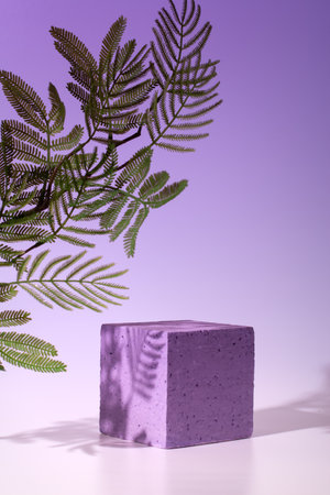 Empty podium or stand for product showcase, plant and shadow on violet backgroundの写真素材