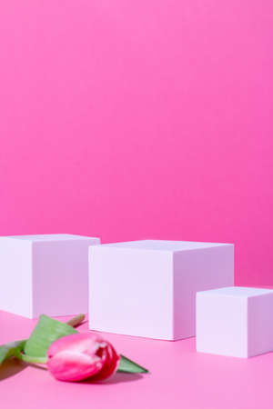 Pink podium for product display on pink with tulips flowers in hard lightの写真素材