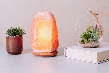 Himalayan salt lamp on table with home plants and bookの写真素材