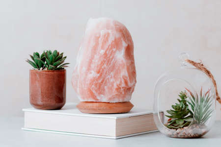 Himalayan salt lamp on table with home plants and book, stress control, calming home decor. Natural salt lamp to reduce stress and purify airの写真素材
