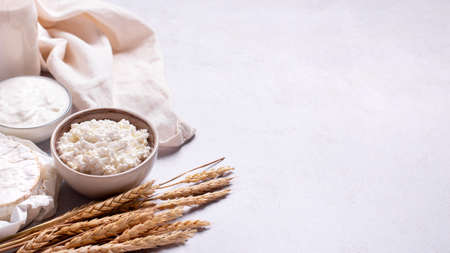 Shavuot flat lay with dairy products and wheat on light gray background, Happy Shavuot web banner. Jewish Shavuot holiday frame with dairy foods, top viewの写真素材