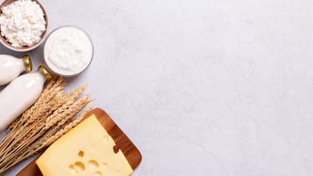Shavuot flat lay with dairy products and wheat on light gray background, Happy Shavuot web banner. Jewish Shavuot holiday frame with dairy foods, top viewの写真素材