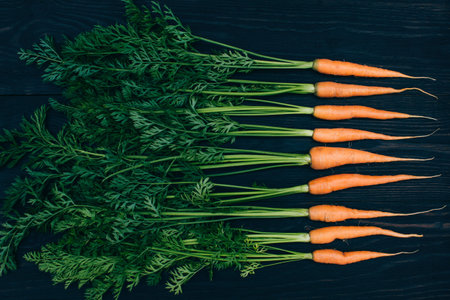 young carrots isolated on black background, cooking fresh vegetables concept