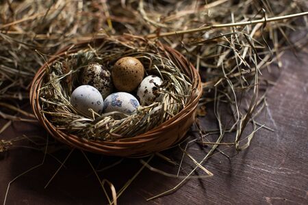 Quail eggs on hay in the nest. Easter backgroundの写真素材