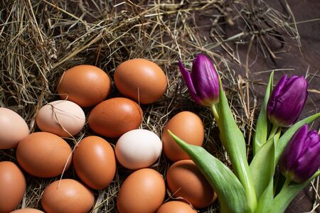 Easter eggs and purple tulips on wooden background. Spring conceptの写真素材