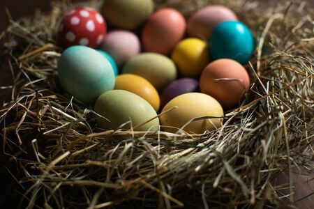 Colorful easter eggs in a nest. Happy Easter!の写真素材