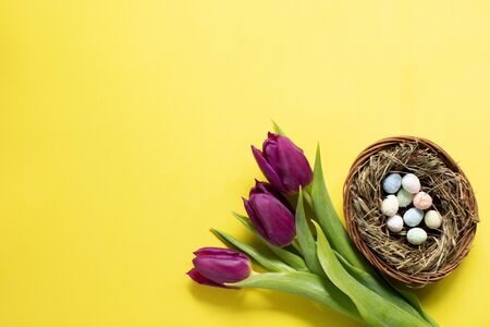 Purple tulips and easter eggs on yellow background. Spring timeの写真素材