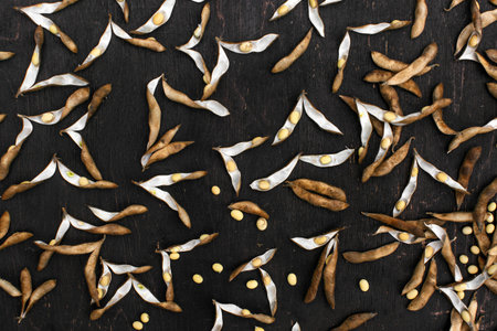 Organic food. Soy diet. Soybean seeds on the kitchen table