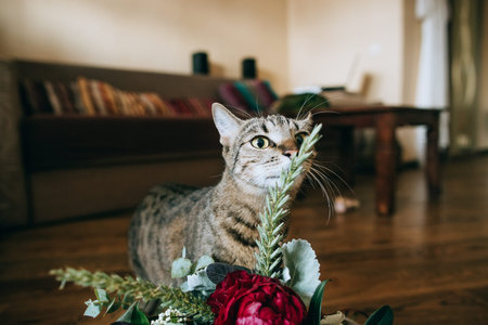 funny cat and beautiful wedding bouquet on wood background	