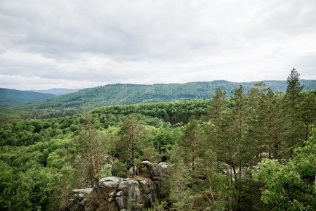 Landscape Green mountain pine and deciduous forest