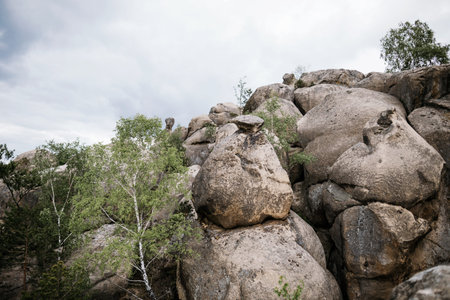Rocks and boulders in the mountains among the green forest