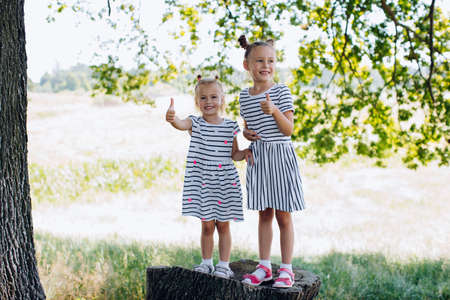 Two happy baby girls, girlfriends, sisters stand on a stump in the park. Children's vacationの写真素材