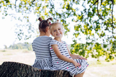 Girlfriends children sitting on a large stump in the park. Children's friendshipの写真素材