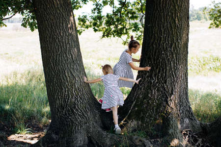 Children girls play in the summer park and climb treesの写真素材