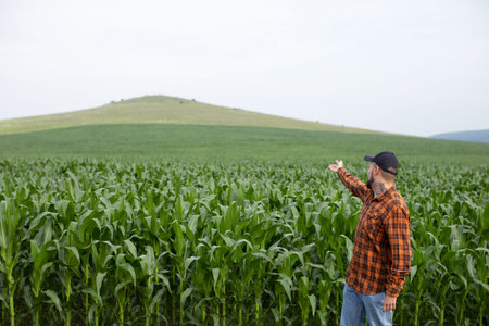 Farmer points to a green field of corn. Agricultural industry. Copyspace