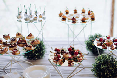 Wedding appetizers on the table. Catering serviceの写真素材