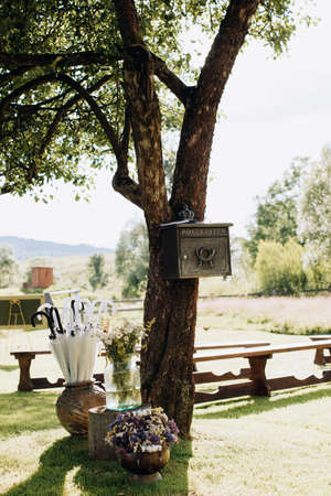 Wedding ceremony in the summer garden in the village. garden decorの写真素材