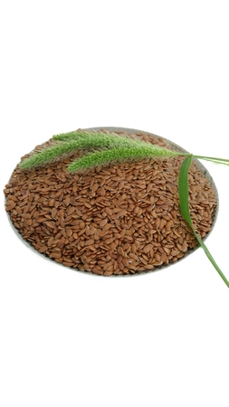 Flax seed and green earsの写真素材