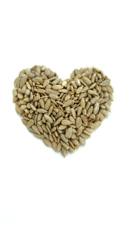 Sunflower seeds in shape of heartの写真素材