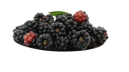 Blackberry on the white backgroundの写真素材