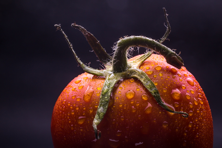 tomato redの写真素材