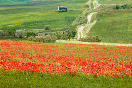 wonderful natural landscape in basilicata, southern Italyの写真素材