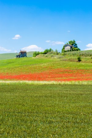 wonderful natural landscape in basilicata, southern Italyの写真素材
