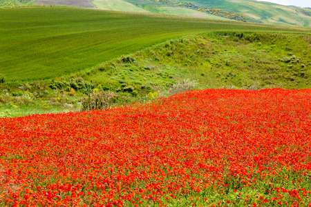 wonderful natural landscape in basilicata, southern Italyの写真素材