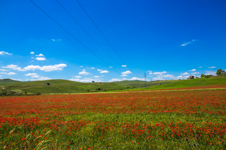 wonderful natural landscape in basilicata, southern Italyの写真素材