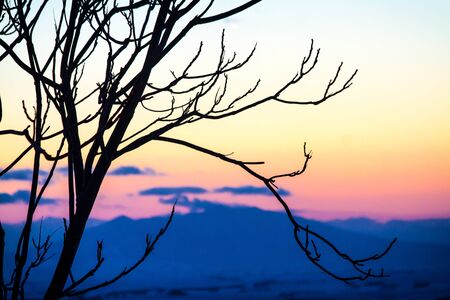 Characteristic and evocative landscape in the Apulian murgiaの写真素材
