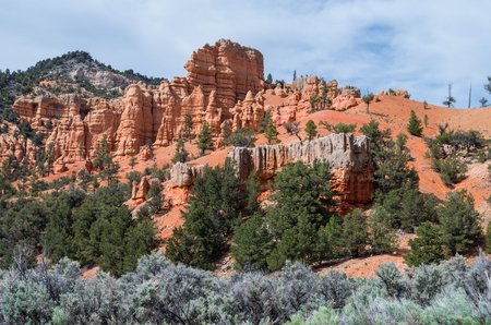 View at the entrance to the Bryce Canyon National Park
の写真素材