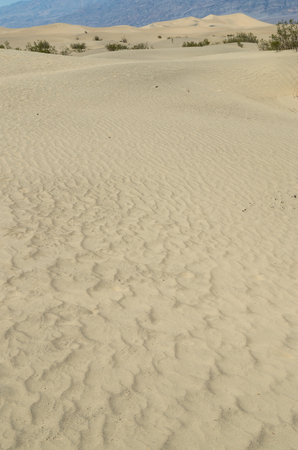 View at the Death Valley National Park
の写真素材
