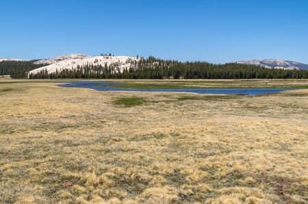 View at the Yosemite National Park
の写真素材