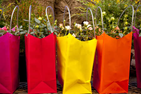 flowers in bagsの写真素材