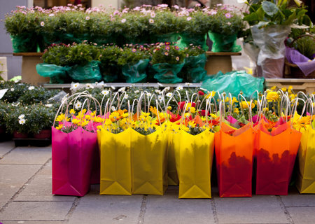 flowers in bagsの写真素材