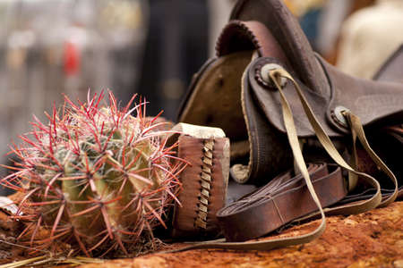 Saddle and cactusの写真素材