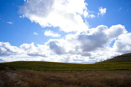 Countrysideの写真素材