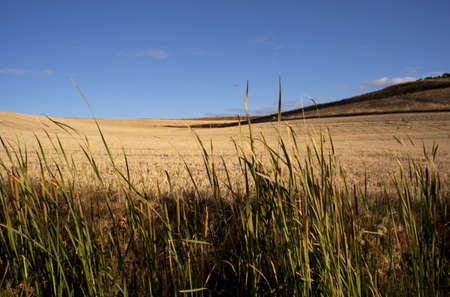Countrysideの写真素材