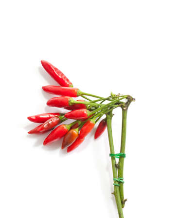 Red hot chili peppers isolated on a white backgroundの写真素材