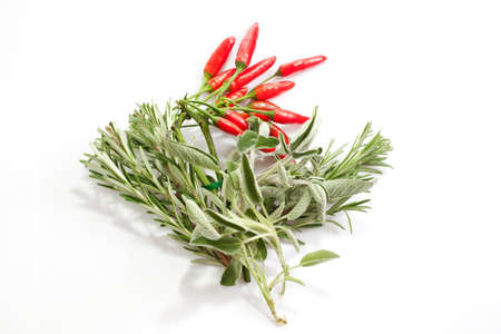 Spices and aromas isolated on a white backgroundの写真素材