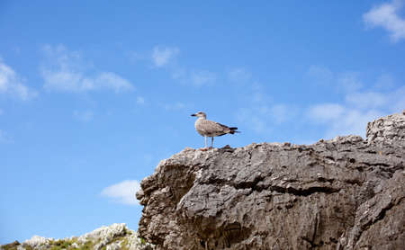 Beach of Cuevas del Mar, Nueva de Llanes - Asturias in Spainの写真素材
