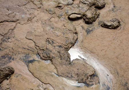 Putrid sewage polluted a beachの写真素材