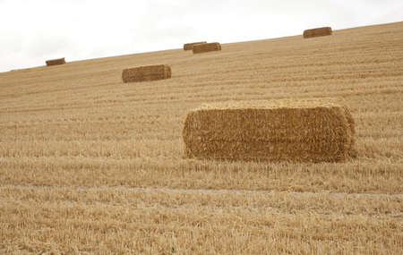 Bales of hayの写真素材