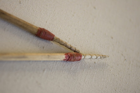 Tiralinee bolognesi, typical italian paintbrushes