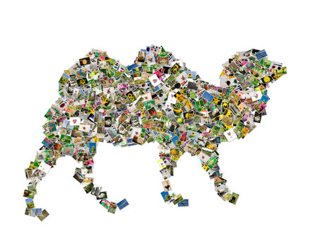 Camel symbol の写真素材