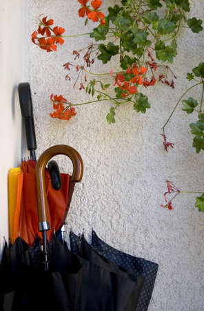 Umbrellas inside an umbrella standの写真素材