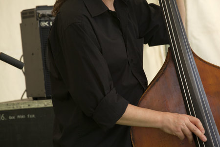 Acoustic double bass player 